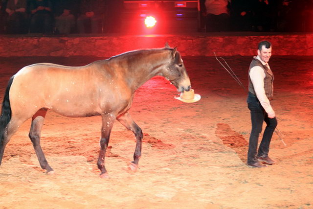 Apassionata    021.jpg